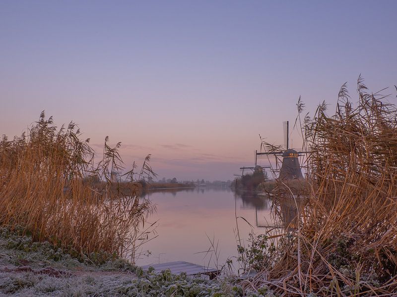 Vue sur les moulins à vent de Kinderdijk par Dieta Kranenburg