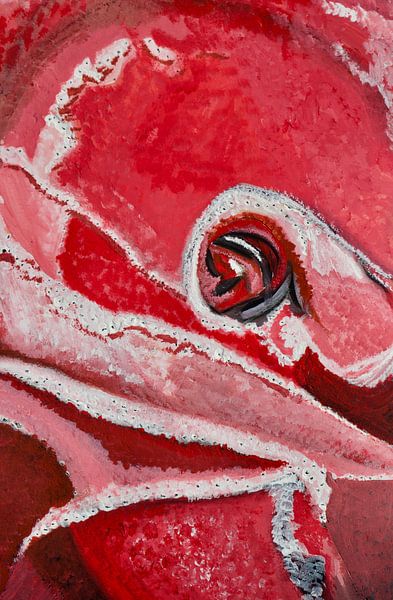 abstrakt pink by Susanne A. Pasquay