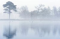 Grenspoel Aekingerzand Appelscha