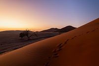 Magical sunrise at Dune 45 | Nambia