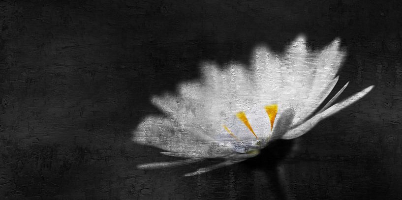 MadeLief par Yvonne Blokland