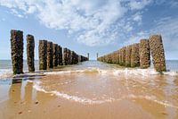 Die Wellenbrecher am Strand von Domburg, Zeeland
