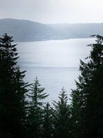 Tranquillité sur le chemin de Fløyen, Bergen Norvège | Forêt | Minimalisme