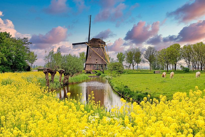 Polder mill De Zwaan 1638 by Eduard Lamping