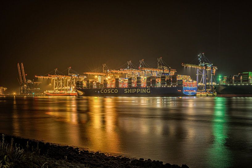 Containerschiff auf der Maasvlakte 2 von Leon Okkenburg