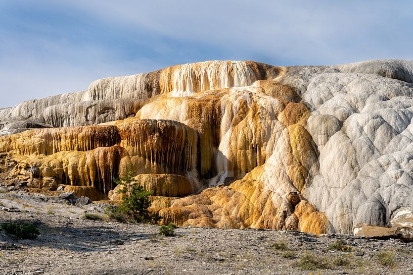 Mammoth Hot Springs, Yellowstone National Park, USA by Jeroen van Deel