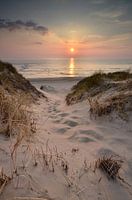 Vue sur les dunes au coucher du soleil