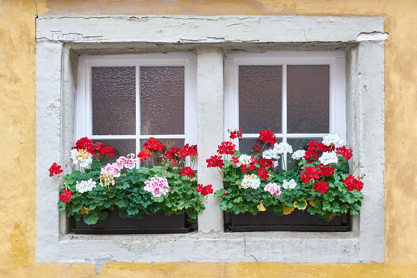 Fenster mit Blumen von Heiko Kueverling