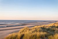 Goldglänzende Dünen von Nieuwpoort | Landschaft