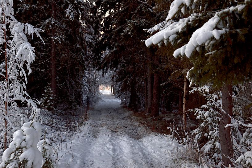 Northern Sweden by Christer Andersson