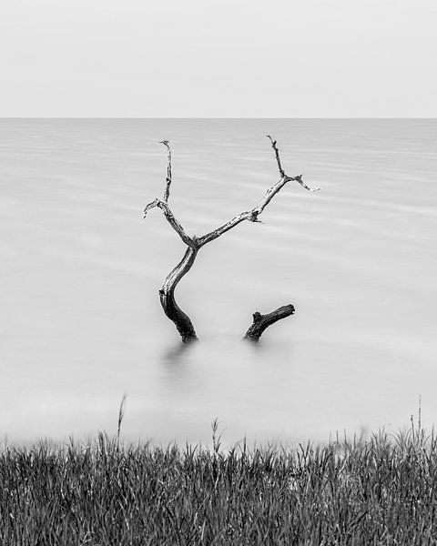 Rising water by Vincent L.