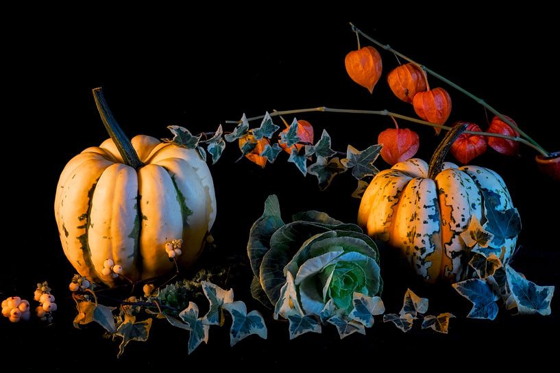 Still life with pumpkins by Hanneke Luit