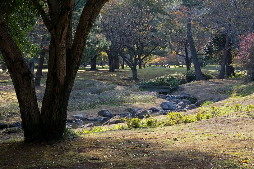 Automne ambiencen a japanese par Frans Rombout