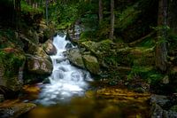 Risslochfälle im Frühsommer