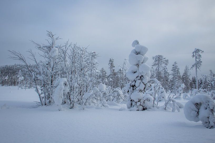 Windlos von Renate Winder