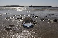 Glass bulb on the beach