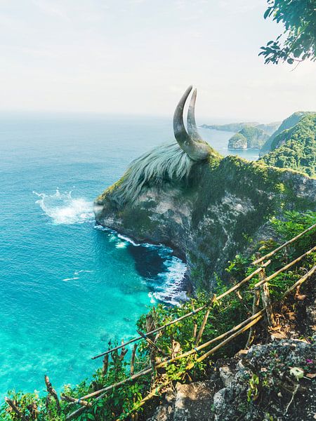 Bull Rocks von Martijn Schrijver