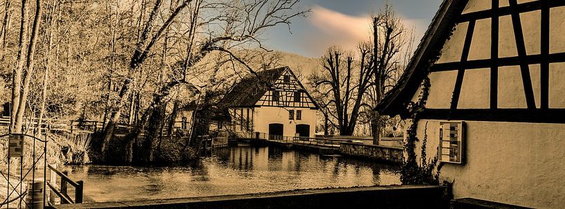 BLAUBEUREN : Le Blautopf par Photoart-Naegele