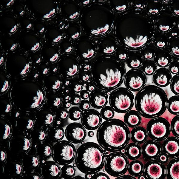 roze gerbera in druppels uitlopend (vierkant) van Marjolijn van den Berg