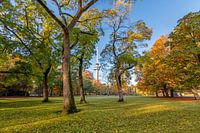 Der Euromast durch die Bäume im Park gesehen