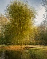 Evengarden II Der Baum als Sinnbild der Natur