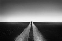 Together to the horizon