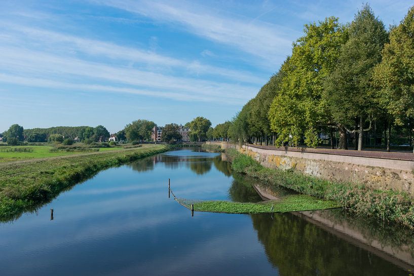 Belle vue de Den Bosch sur les vertes prairies de Bosche Broek par Patrick Verhoef