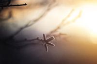 sich in Luft auflösen