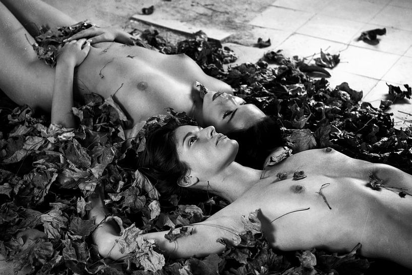 Sans titre par Eyal Amer