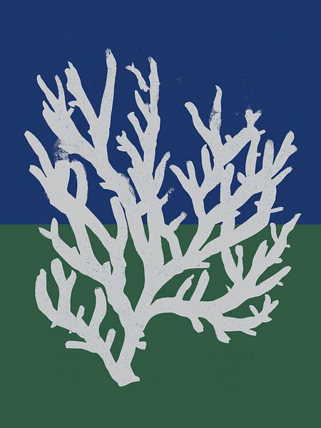 White Coral No 02 von Treechild