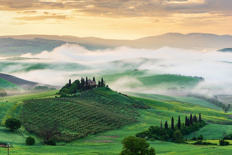 Morning mist in Tuscany by Michael Valjak