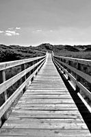 Sylt: Holzweg durch die Dünen