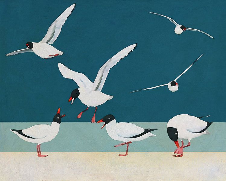 Un groupe de mouettes à tête noire sur la plage par Jan Keteleer