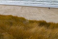 Événements sur la plage