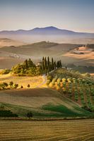 Beautiful Tuscany with Podere in the morning light.