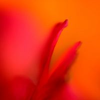 Colours and shapes 2