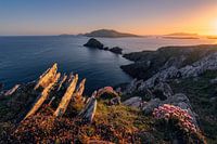 Dunmore Head (Co. Kerry, Irlande)
