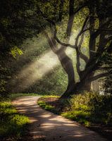 Ambiance mystérieuse