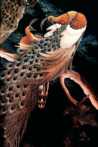 Paon par Mad Dog Art