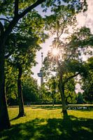 Euromast through the trees of The Park