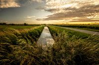 Sonnenuntergang Den Haag Beemdenbos