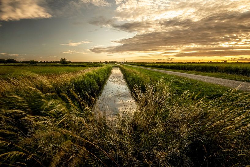 Sonnenuntergang Den Haag Beemdenbos von Cees van Gastel