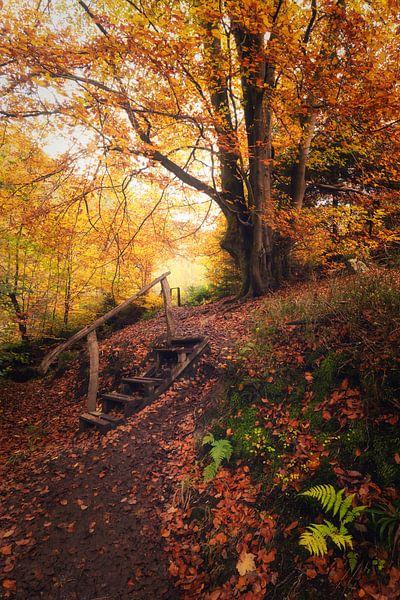 Willkommen im Märchen von Loris Photography
