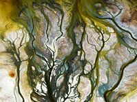 Farben des Wassers, Searles Lake