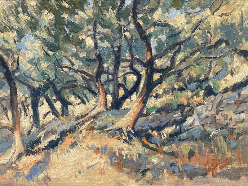 Olivenhain mit Steinmauer von Nop Briex