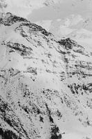 Schweiz Berge Alpen - Schwarz und weiß