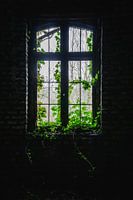 La nature prend le dessus