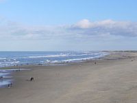Kustlijn aan het strand van Scheveningen