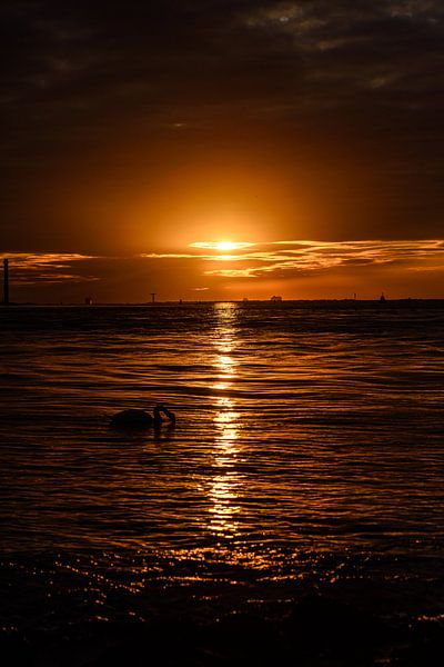 Enjoying sunset at Landtong Rozenburg. by Jaap van den Berg