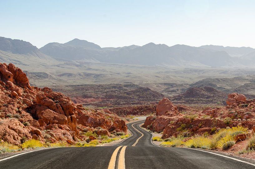 The long road by Sandra Bechtold